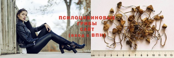 прущая мука Армянск