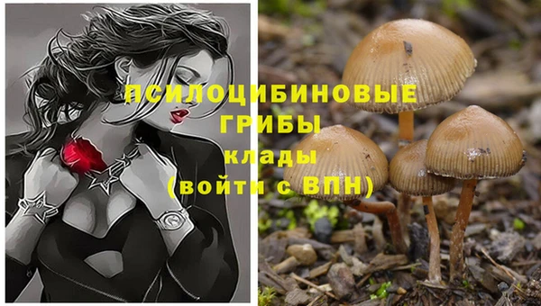 прущая мука Армянск