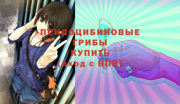 прущая мука Армянск
