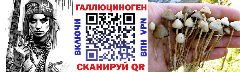 Галлюциногенные грибы мухоморы  Баймак 